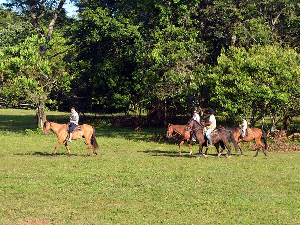 Horseback Riding In Tiuma Park