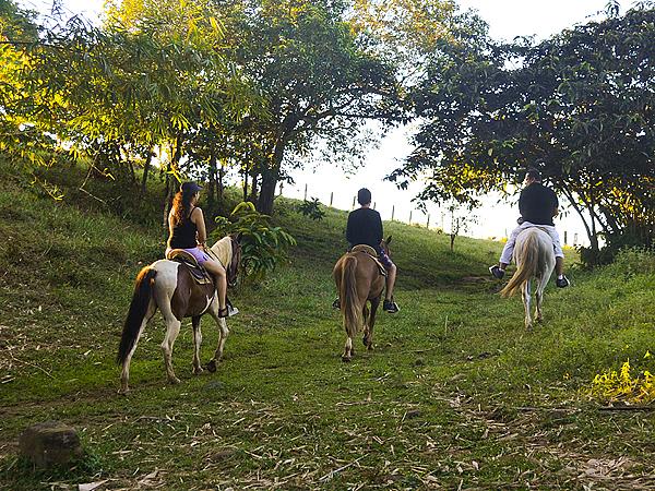 Cabalgatas En Tiuma Park