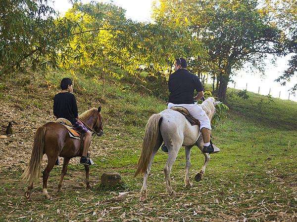 Cabalgatas En Tiuma Park