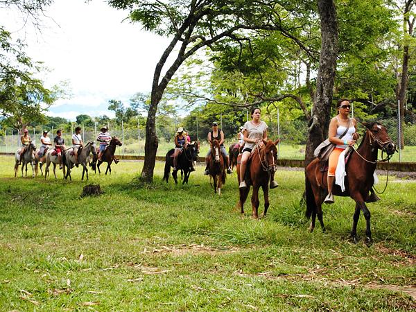 Hotel Y Cabañas Hacienda Marsella