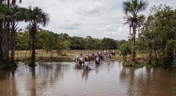 Horseback Riding In Tiuma Park