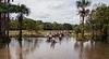 Horseback Riding in Tiuma Park