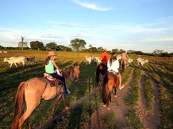 Horseback Riding In Tiuma Park