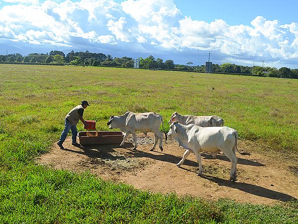 Pasaporte Aldea Mágica (Buggy Cerrero + Tiuma Ranch)