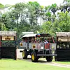 Recorrido en Buggy Cerrero