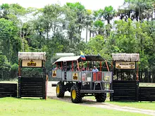 PASAPORTE ALDEA MAGICA