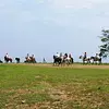 Cabalgatas en Tiuma Park