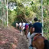 Cabalgatas en Tiuma Park
