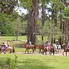 Cabalgatas en Tiuma Park