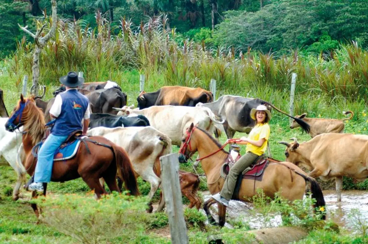 Cabalgatas en Tiuma Park
