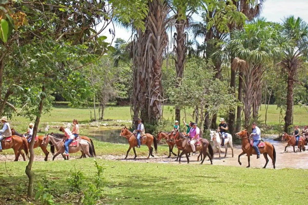 Pasaporte en Tiuma Park
