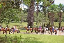PASAPORTE TIUMA PARK
