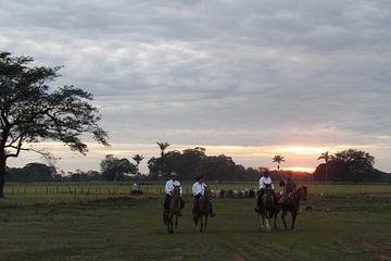Travesia del Amanecer Llanero