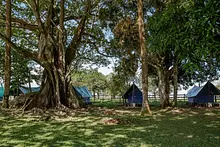 Jungla Camping - 2 Personas