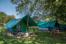 Jungla Camping - 2 Personas